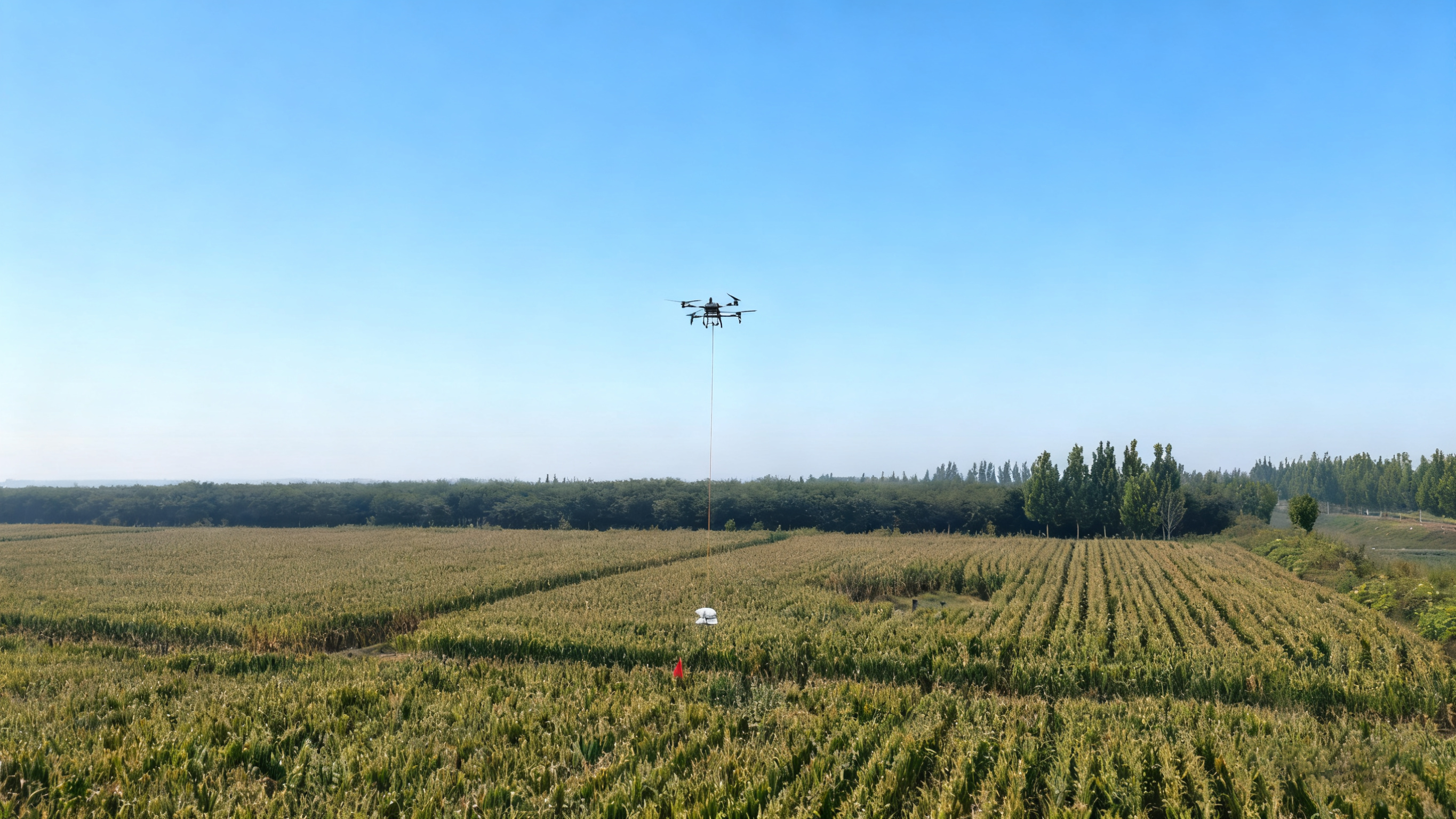 戰陰雨搶農時 博華生態農業全力推進玉米搶收工作